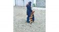آموزش و تربیت سگ در گیلان