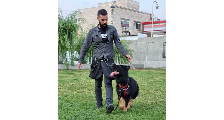 آموزش و تربیت سگ در محل